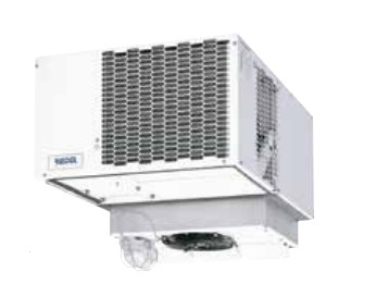 Моноблок потолочный RIEDEL GEKN 3001 DF