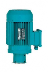 Двигатель Gruen Pumpen SWK 0,37 kW, 300 1/min 550-0017 SD